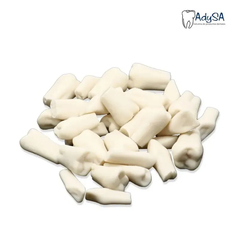 DIENTES PARA TIPODONTO CON 32