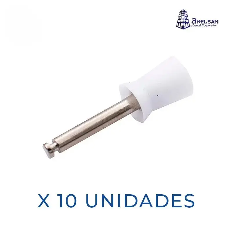 COPA PROFILAXIS ANELSAM