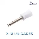 COPA PROFILAXIS ANELSAM